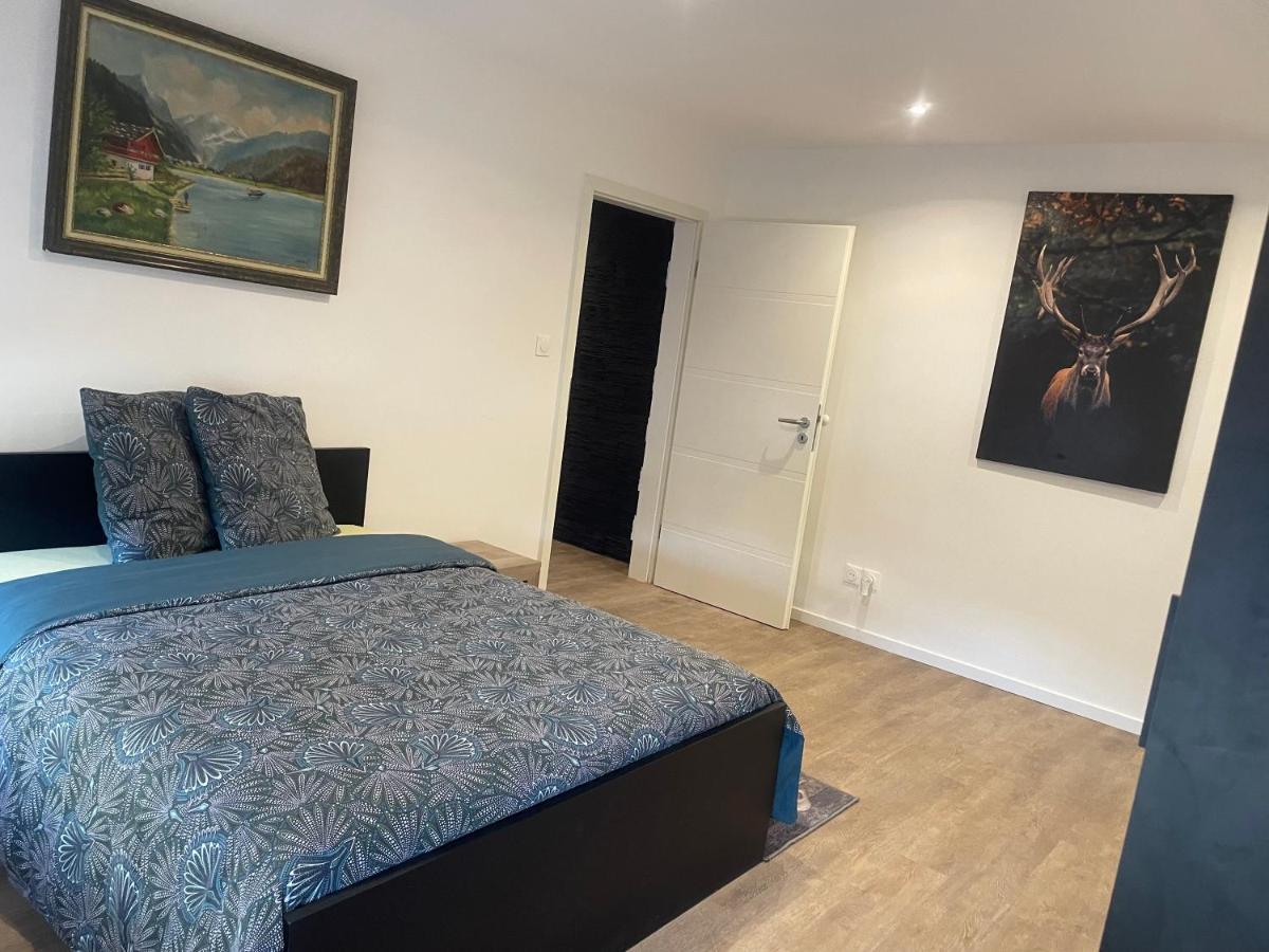 Superbe Appartement au RDC avec cheminée Villerupt Esterno foto
